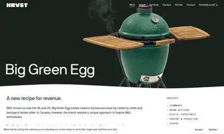 Preview of the Big Green Egg Case Study