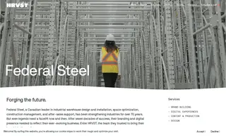 Preview of the Federal Steel Case Study