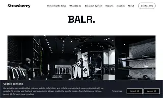 Preview of the BALR Case Study
