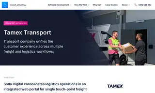 Preview of the Tamex Transport Case Study