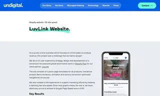 Preview of the LuvLink Case Study