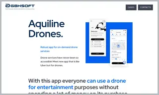 Preview of the Aquiline Case Study