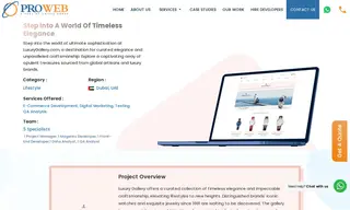 Preview of the LuxuryGallery.com Case Study