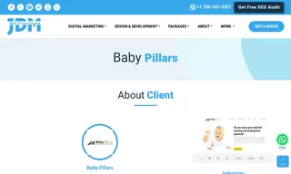 Preview of the Baby Pillars Case Study