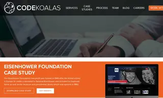Preview of the Eisenhower Foundation Case Study