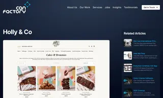 Preview of the Holly & Co Case Study