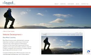 Preview of the Blue Mesa Group Case Study
