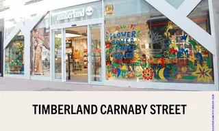 Preview of the Timberland Case Study