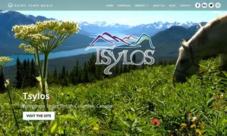 Preview of the Tyslos Case Study