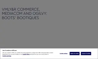 Preview of the Boots Case Study