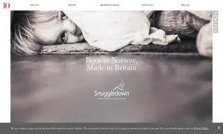 Preview of the Snuggledown Case Study