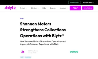 Preview of the Shannon Motors Case Study