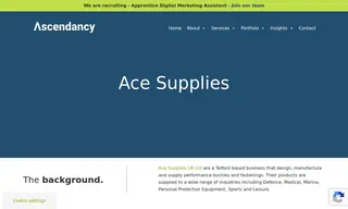 Preview of the Ace Supplies Case Study