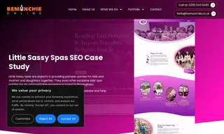 Preview of the Little Sassy Spas Case Study
