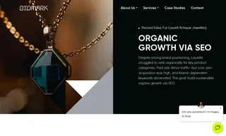 Preview of the Laurelle Antique Jewellery Case Study