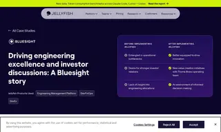 Preview of the Bluesight Case Study