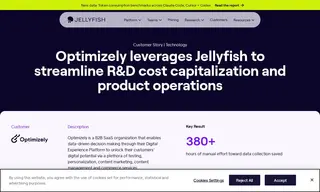 Preview of the Optimizely Case Study