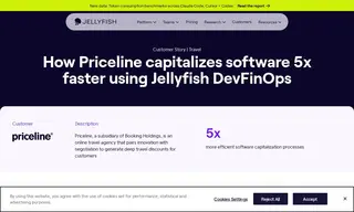 Preview of the Priceline Case Study
