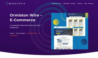 Preview of the Ormiston Wire Case Study