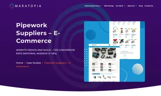 Preview of the Pipework Suppliers Case Study