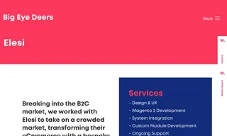Preview of the Elesi Case Study