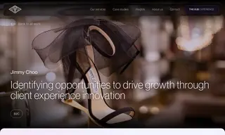 Preview of the Jimmy Choo Case Study