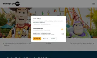 Preview of the Disney Parks Case Study