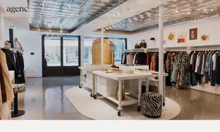 Preview of the Barneys New York Case Study