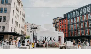 Preview of the Dior Backstage Case Study