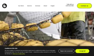 Preview of the Myton Food Group Case Study