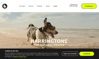 Preview of the Harringtons Pet Food Case Study