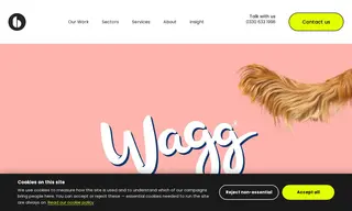 Preview of the Wagg Pet Foods Case Study