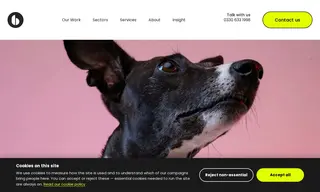 Preview of the Pet Food Kitchen Case Study