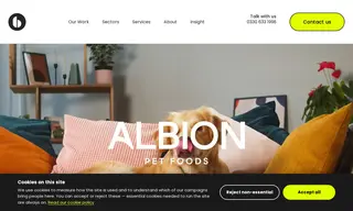 Preview of the Albion Pet Foods Case Study