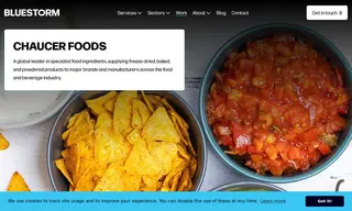 Preview of the Chaucer Foods Case Study