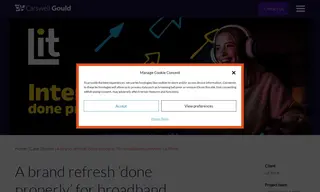 Preview of the Lit Fibre Case Study