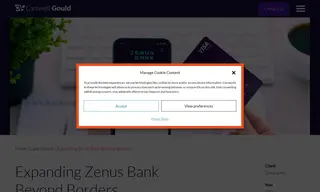 Preview of the Zenus Bank Case Study