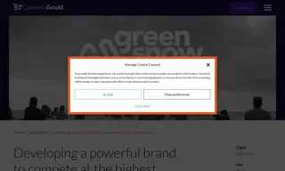 Preview of the Green Snow Case Study