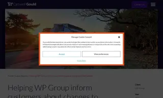 Preview of the WP Group Case Study