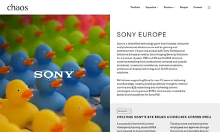 Preview of the Sony Case Study