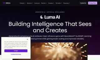Preview of the Luma AI Case Study