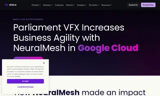 Preview of the Parliament VFX Case Study