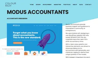 Preview of the Modus Accountants Case Study