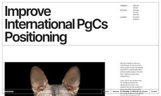 Preview of the Improve International Case Study