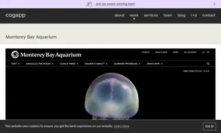 Preview of the Monterey Bay Aquarium Case Study