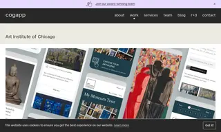 Preview of the Art Institute of Chicago Case Study