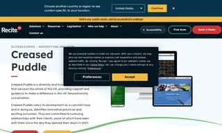 Preview of the Creased Puddle Case Study