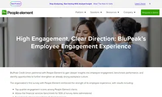 Preview of the BluPeak Credit Union Case Study