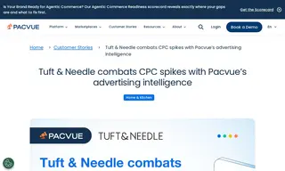 Preview of the Tuft & Needle Case Study