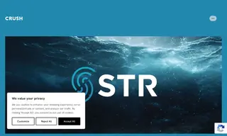 Preview of the STR Subsea Case Study